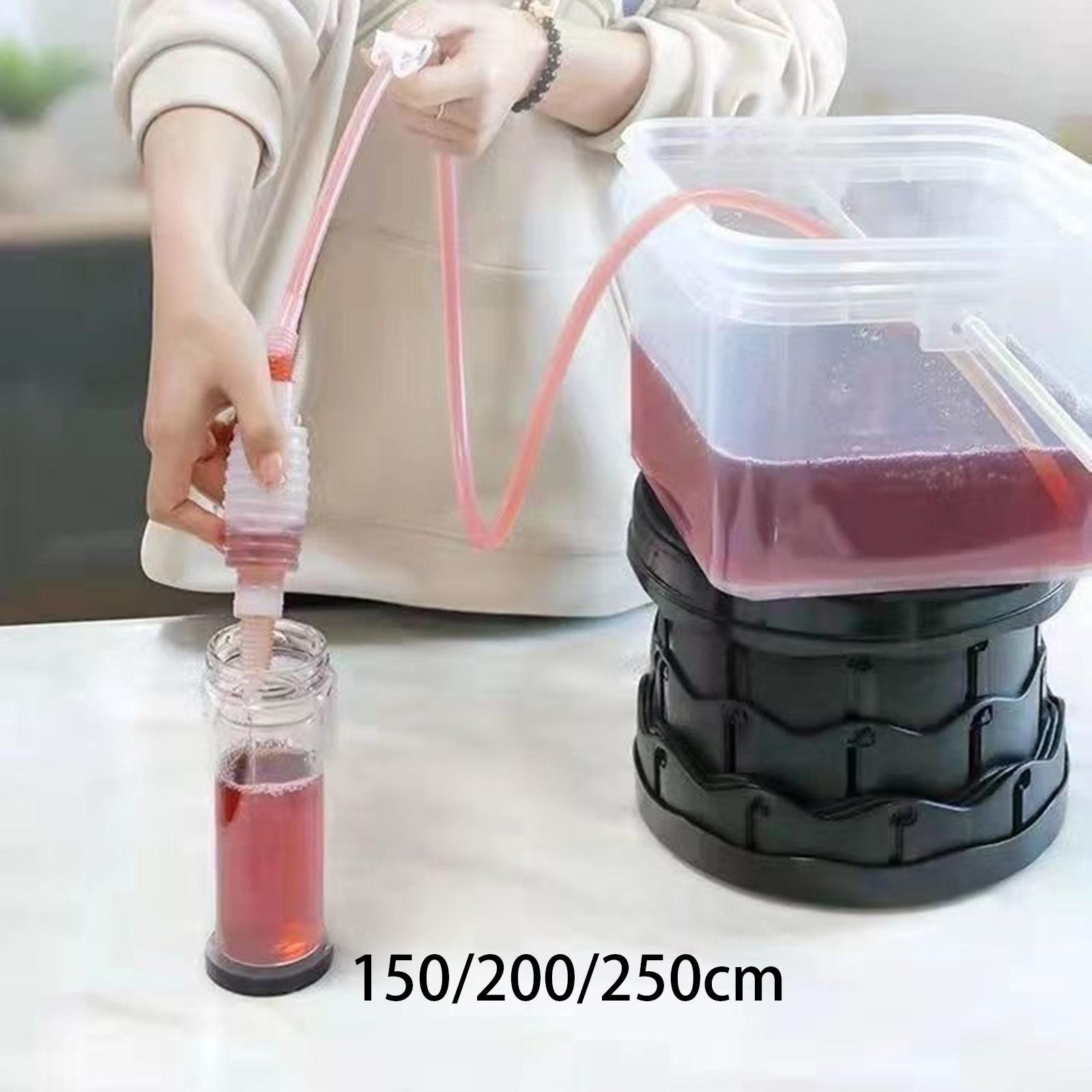 Pompa a sifone compatta per la - Wine Beer Making Supplies recensione e prezzo